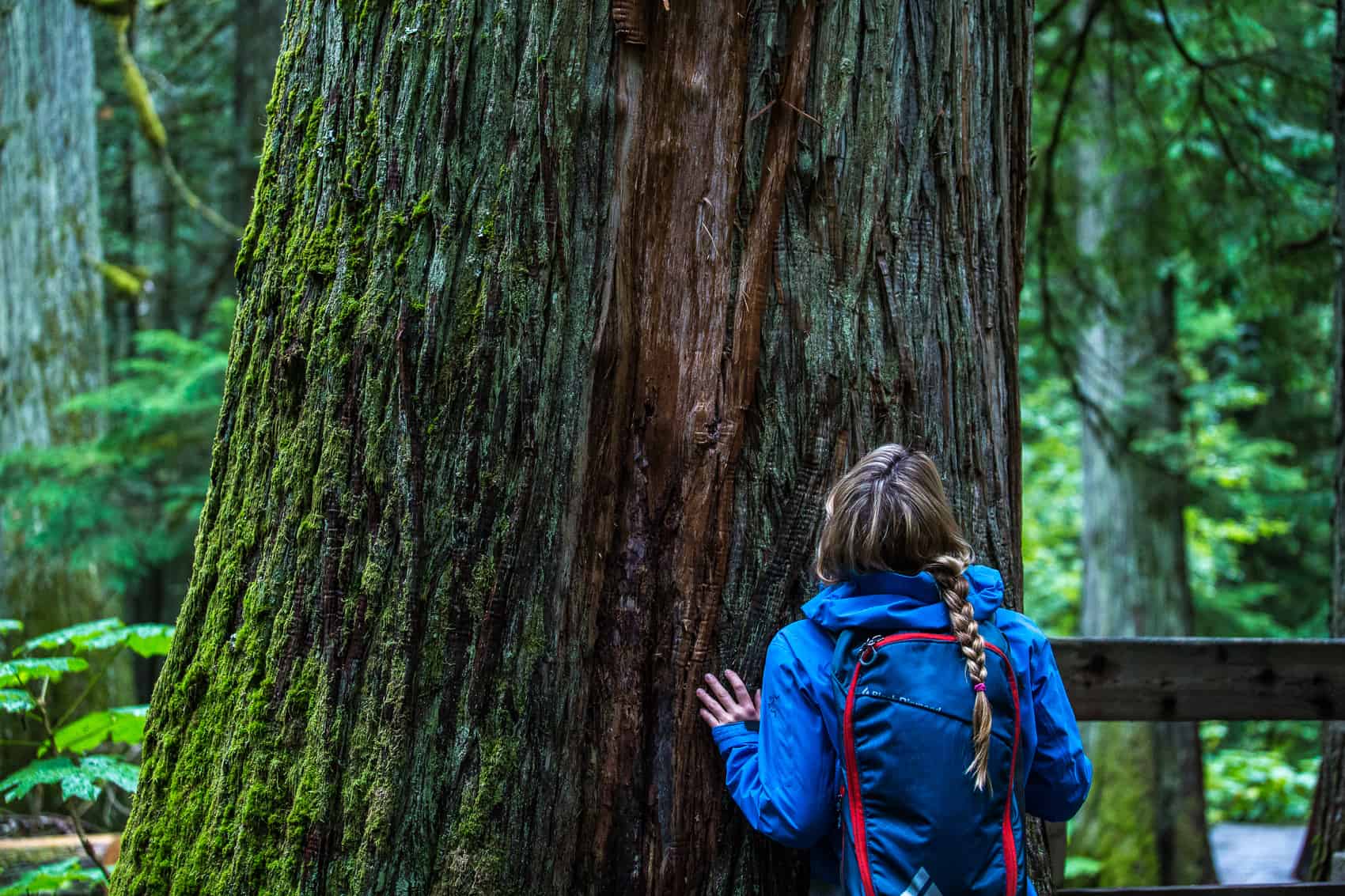 Mount Revelstoke National Park - Giant Cedars-hiking-hike