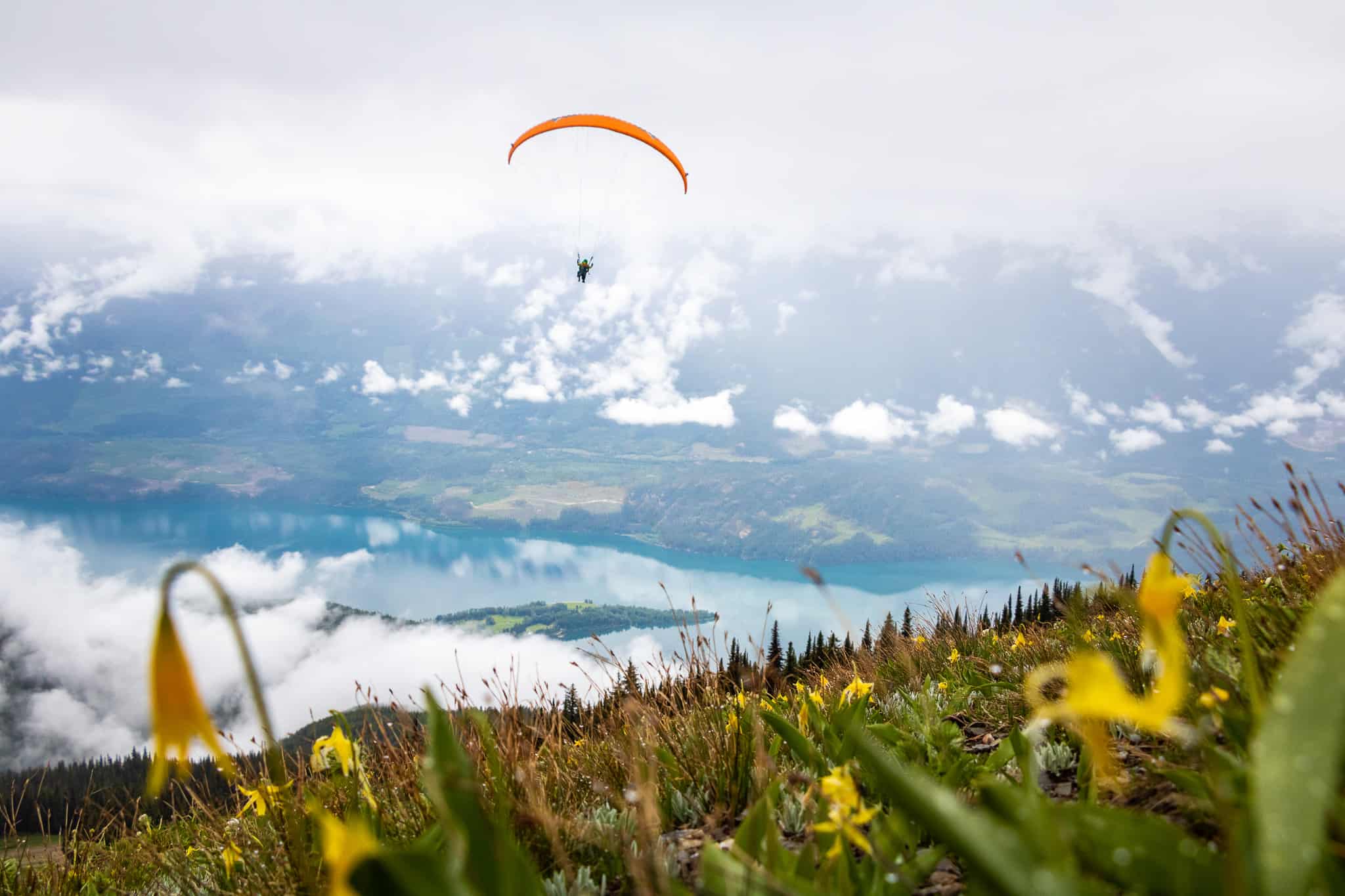 Paragliders and wildflowers in clouds