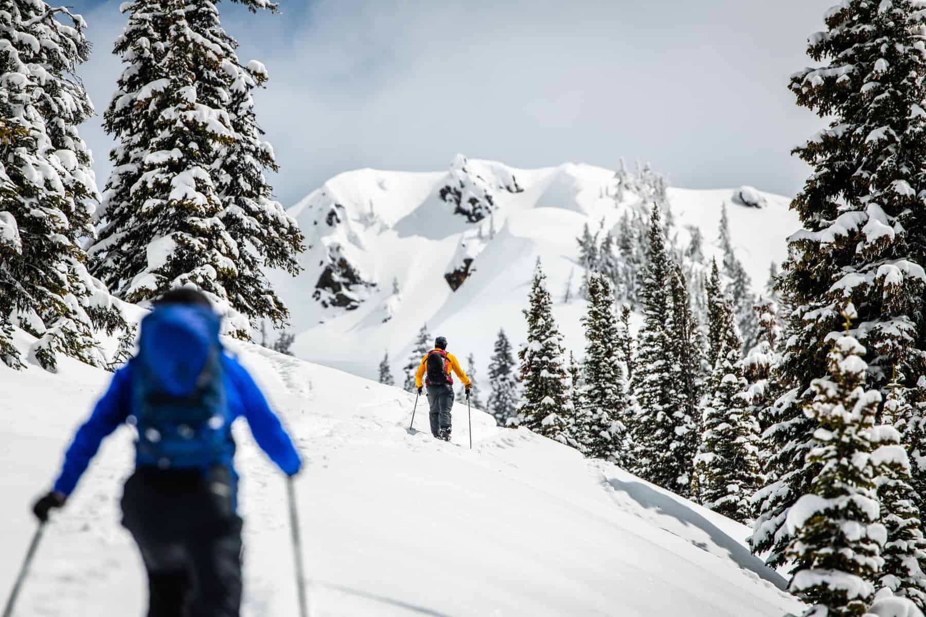 two people touring in revelstoke backcountry