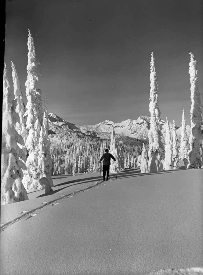 skier-mount-revelstoke-summit