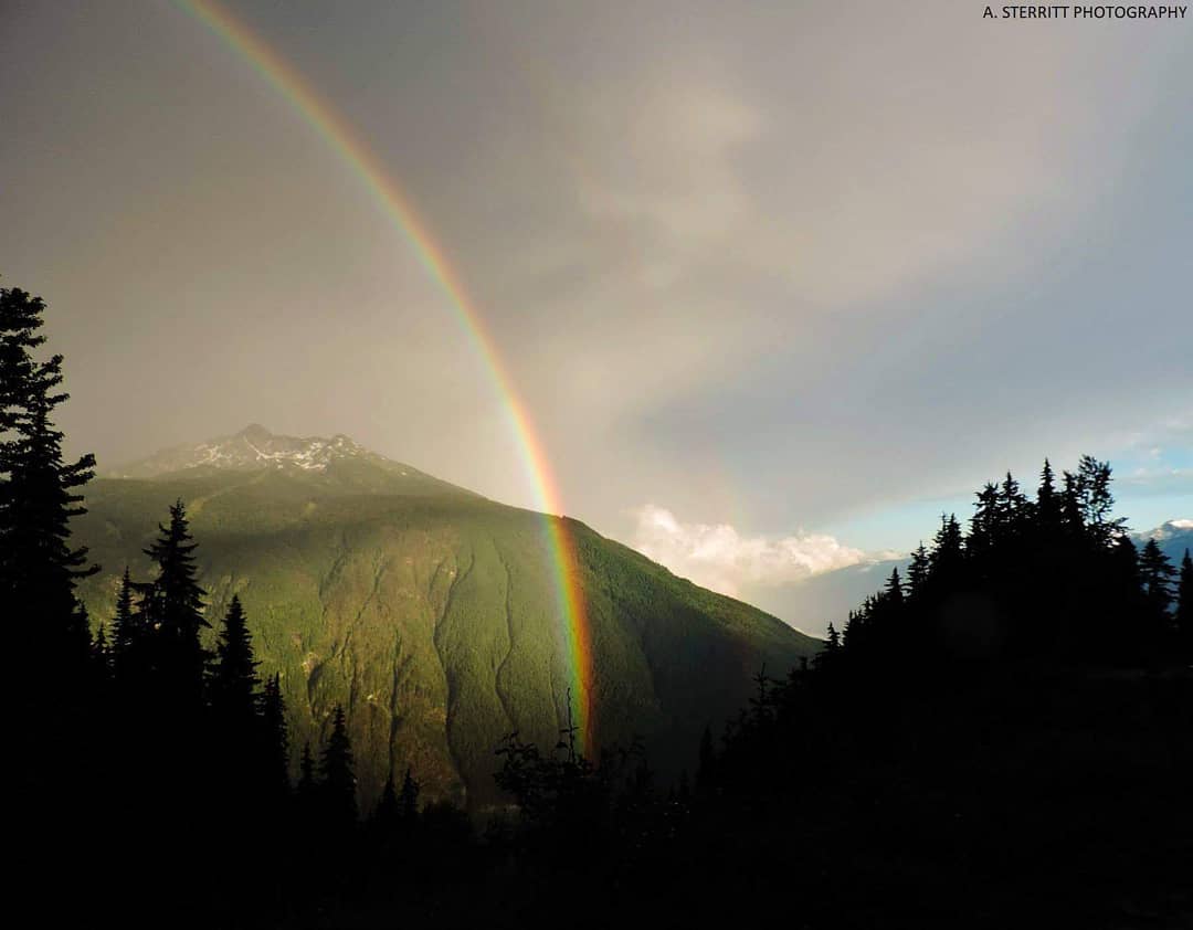 Rainbow over the rainforest. Photo: @ariannasterritt