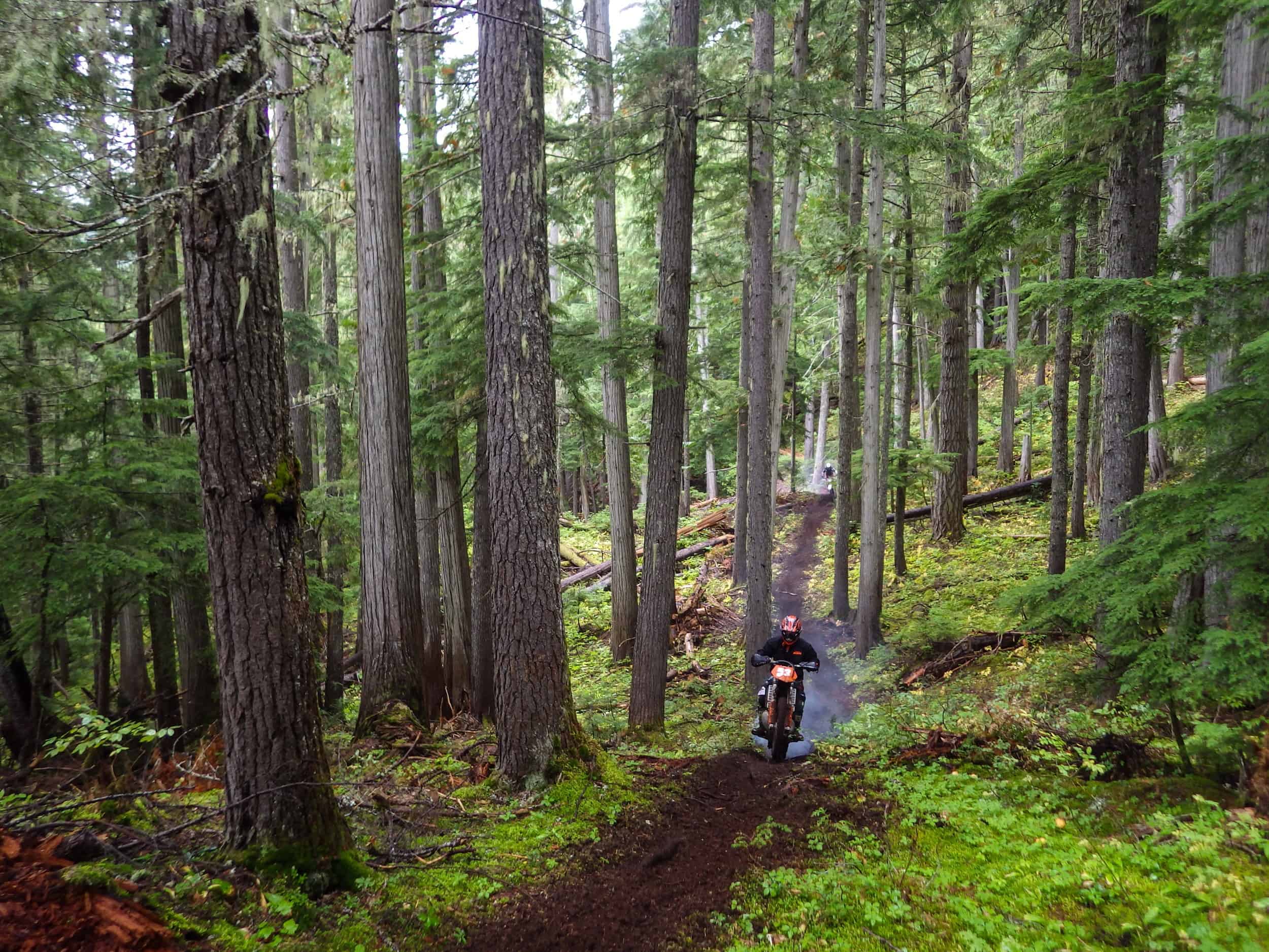 Revy Riders Dirt Biking Revelstoke