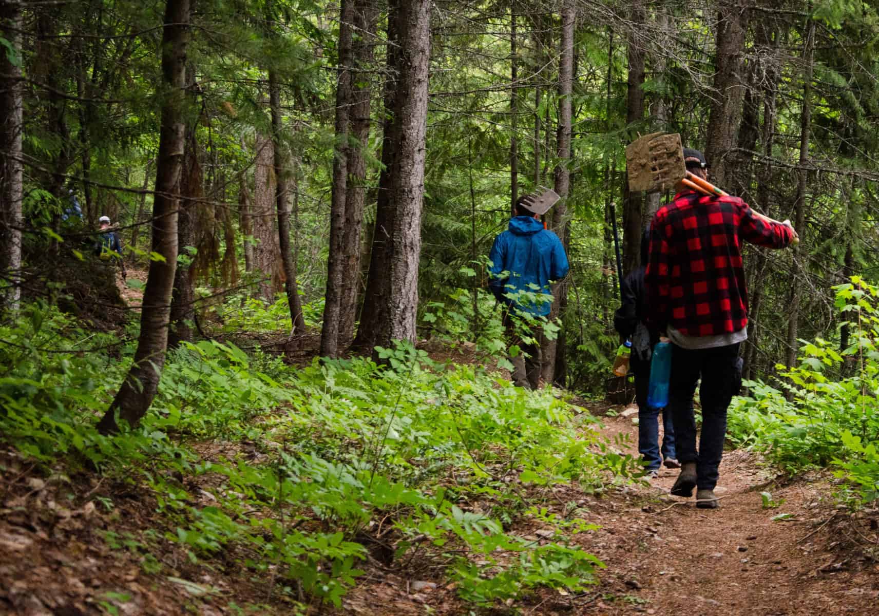 Revelstoke Trail Work