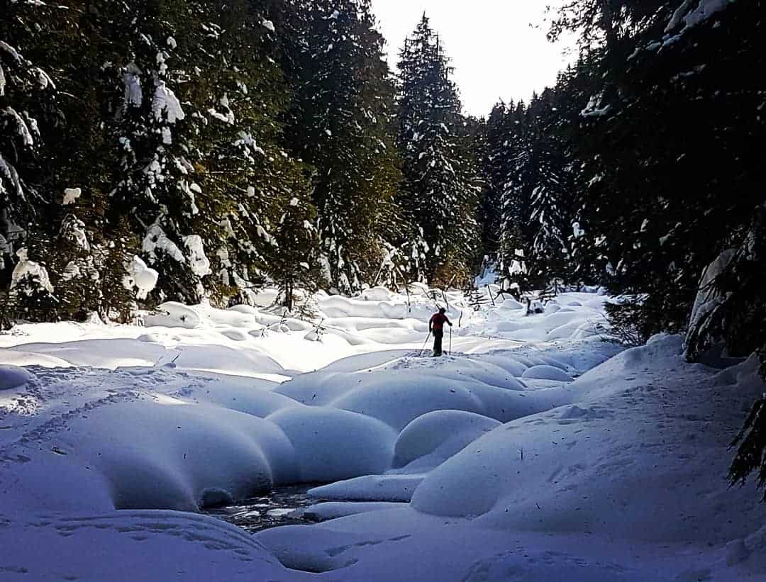 Flat Creek in Rogers Pass. Photo: @chrisbirra