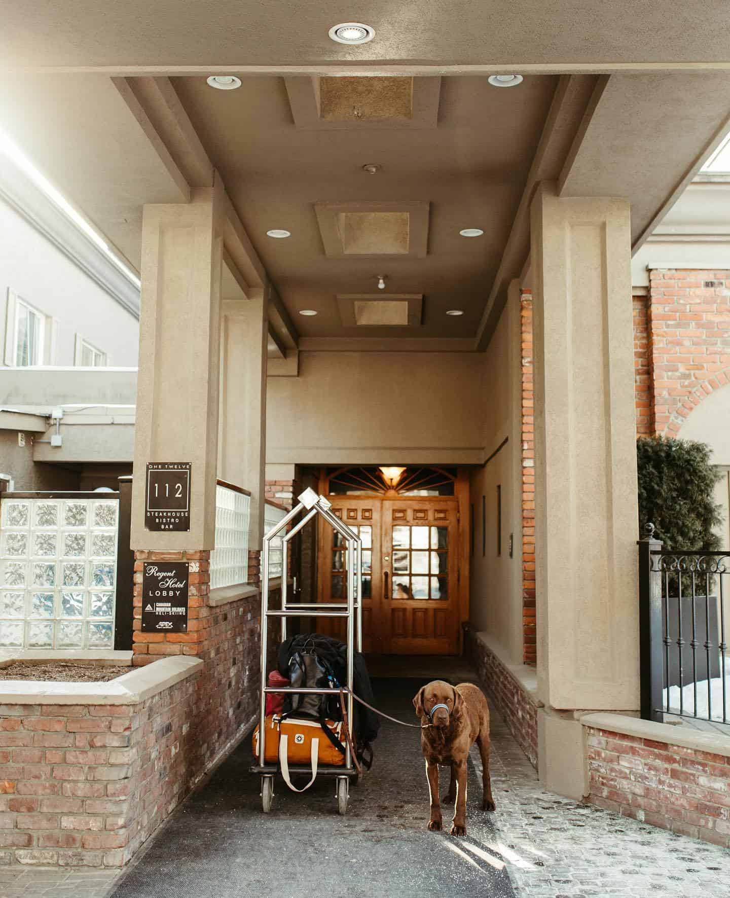 dog friendly hotels Revelstoke