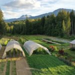 Drone perspective of first light farms with mount begbie in background