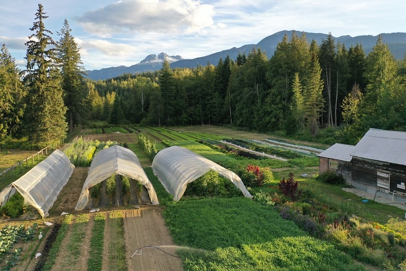 Drone perspective of first light farms with mount begbie in background