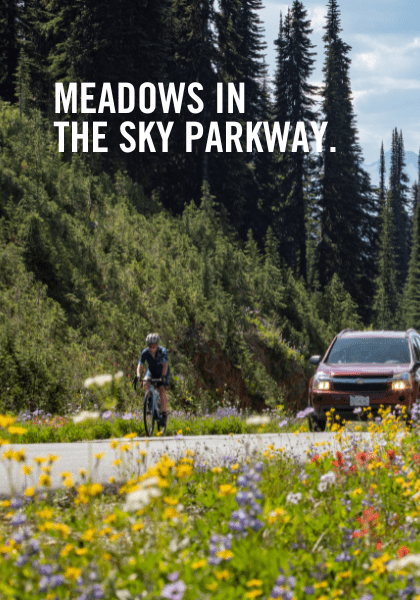 Meadows In The Sky Parkway | Tom Poole Photography