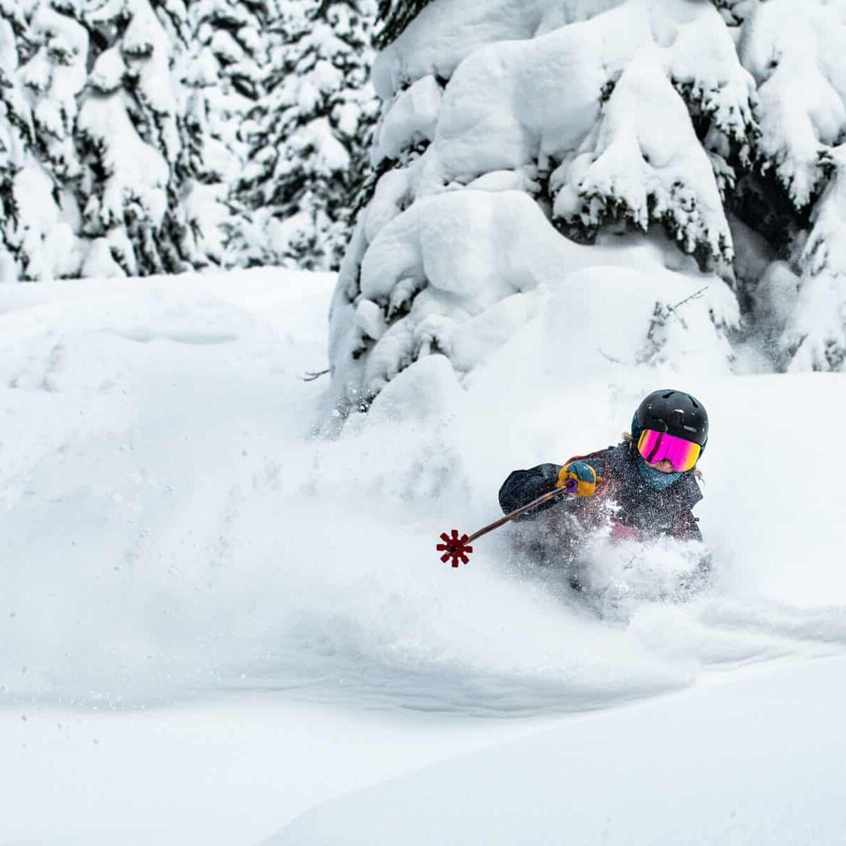 Backcountry Skiing Revelstoke